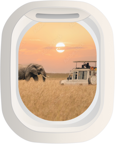Safari